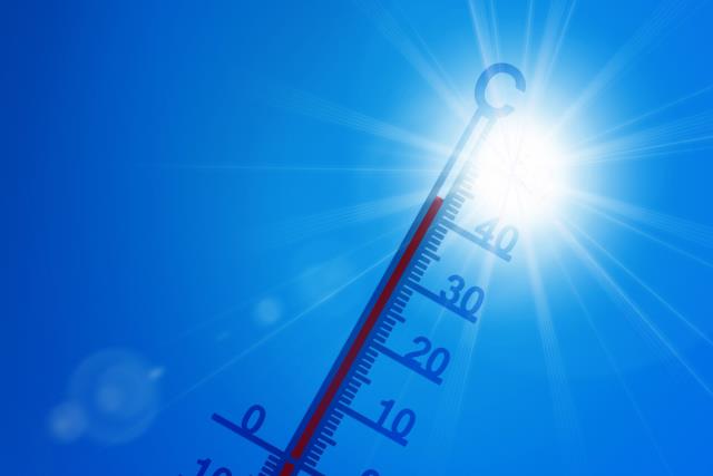 Consells per combatre la calor