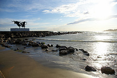 flickr 2