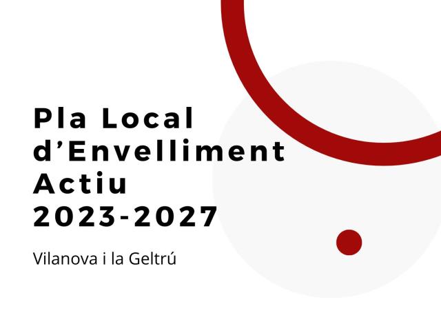 Pla d'Envelliment Actiu de VNG
