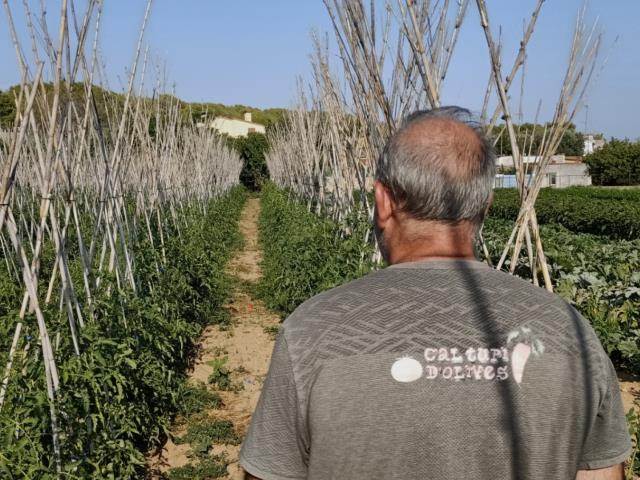 Cal Tupí d'Olives