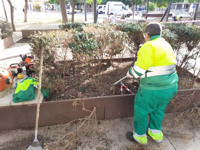 Repàs de jardineria